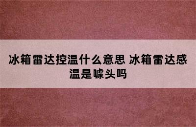 冰箱雷达控温什么意思 冰箱雷达感温是噱头吗